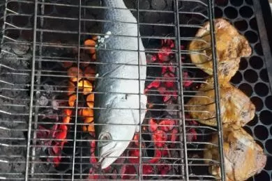 Ótima comida