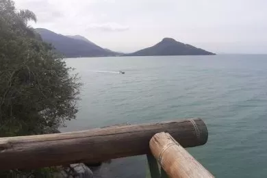 Vista